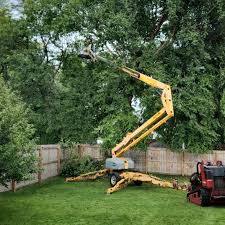 Best Tree Risk Assessment  in Carle Place, NY